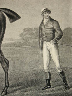 Sartorius Diamond