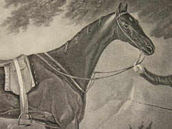 Sartorius Hambletonian