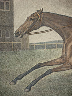 Baronet
