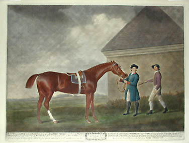 Stubbs Eclipse