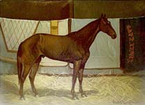 Pair of Chromolithographs