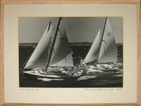 Seal, Start of the 1958 Bermuda Yacht Race
