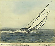 Bluenose