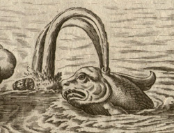 Sea Monsters