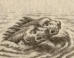 Sea Monsters
