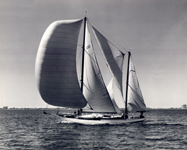 Regatta Yacht 100, black and white photo