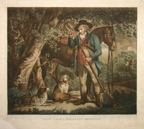 Morland Woodcock and Pheasant Shooting