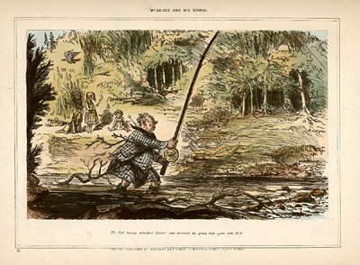 Plate 11