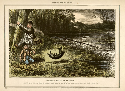 Plate 4