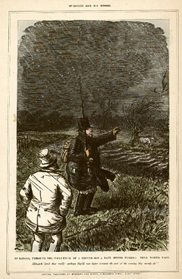 Plate 6