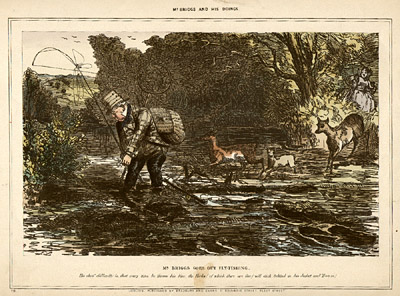Plate 7