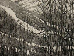 Beck Skiers