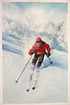 Original Oil Illustration, Avalanche Cover Art