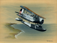 Grohs Seaplane