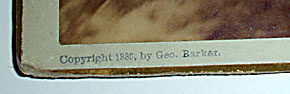 detail: copyright