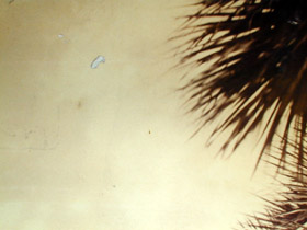 detail