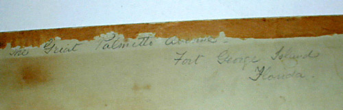 detail: signature