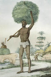 Indian Man