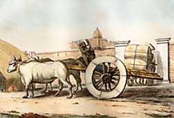 Cart