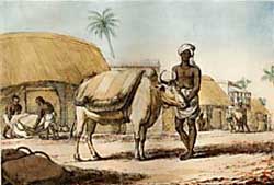 India print