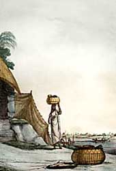 Indian scene