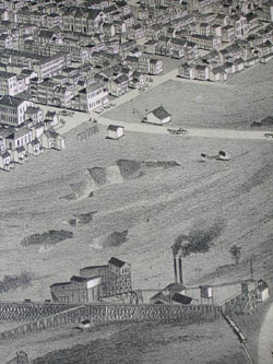 Shenandoah