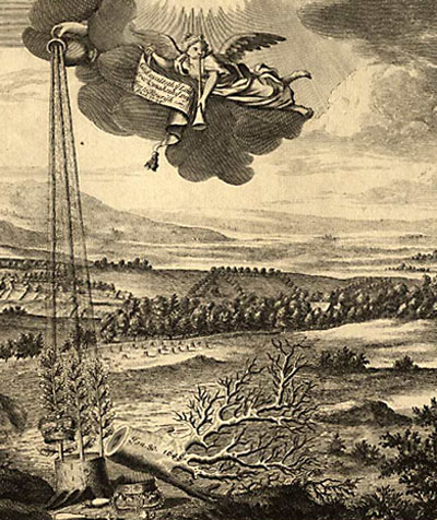 detail