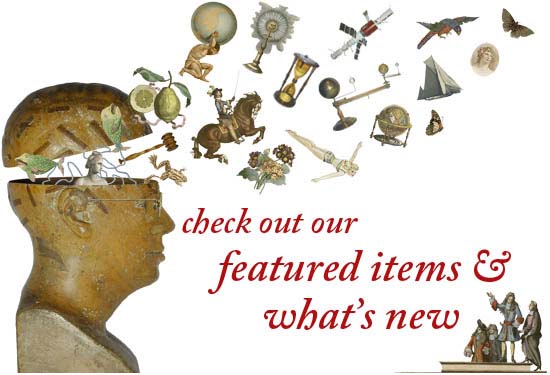 Check out our featured items and what's new