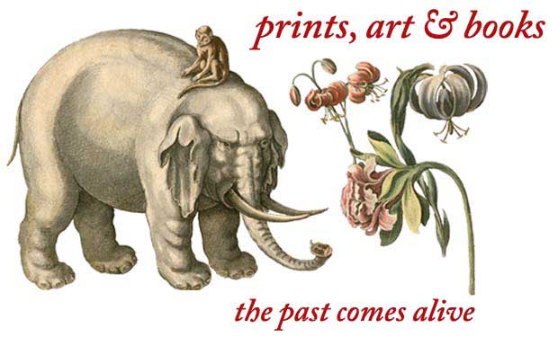 The past comes alive in prints, art and books